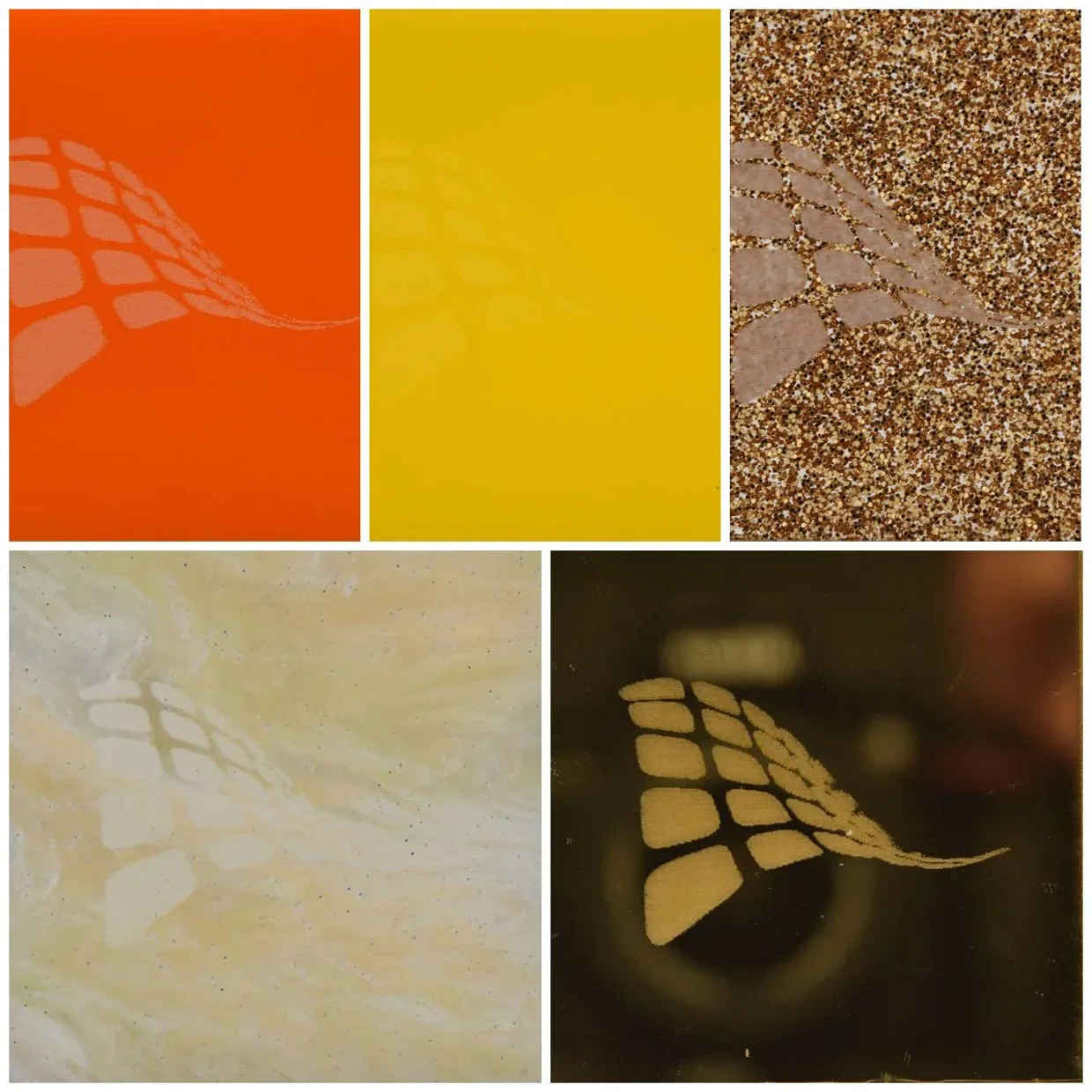 Acrylicrafts Acrylic Sheets