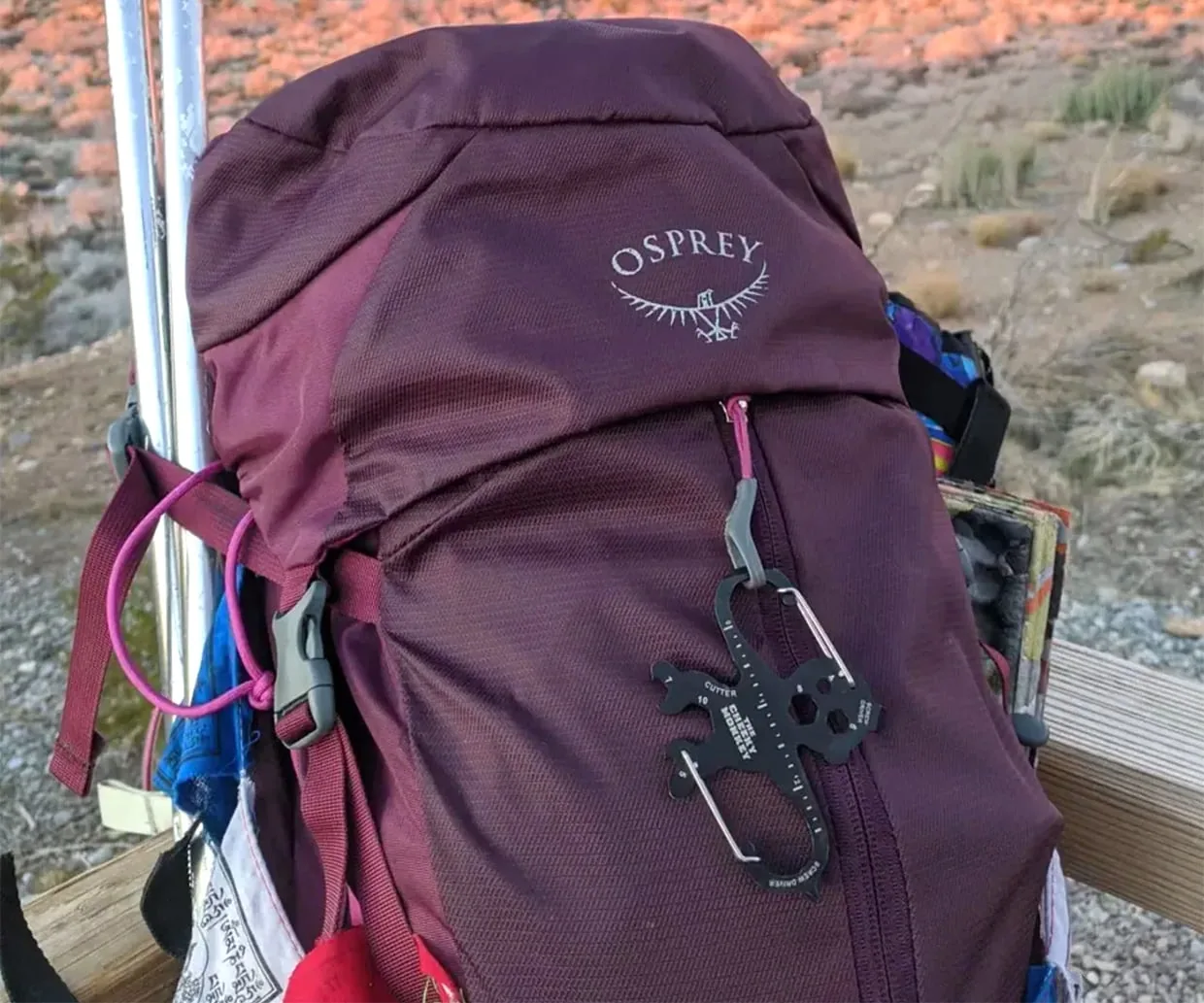 Cheeky Monkey Multitool Carabiner